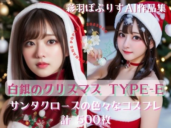 Noël en argent 白銀のクリスマス TYPE-E500 メイン画像