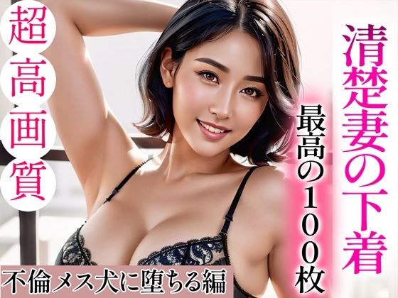 【超高画質グラビア写真集】清楚妻の下着。最高の100枚〜不倫メス犬に堕ちる編〜 メイン画像