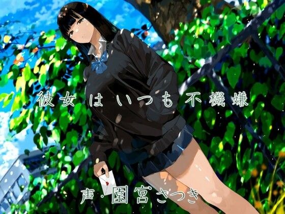 彼女はいつも不機嫌 メイン画像
