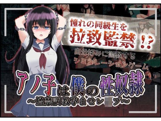 アノ子は僕の性奴● 〜監禁調教孕ませレ●プ〜 メイン画像