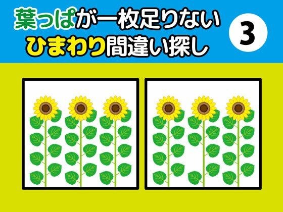 Find the difference in a sunflower that is missing one leaf (3) メイン画像