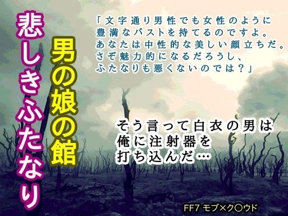 男の娘の館 悲しきふたなり