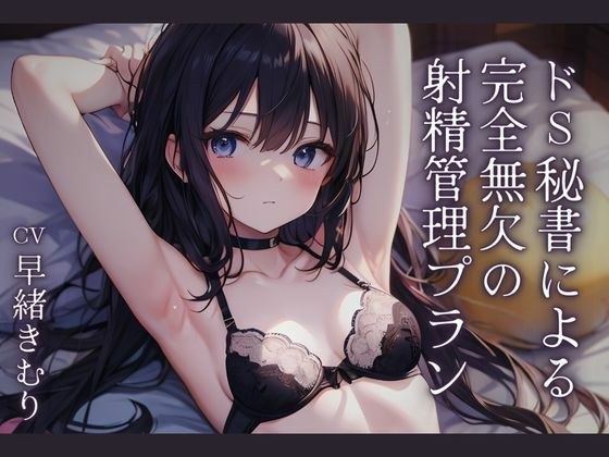ドS秘書による完全無欠の射精管理プラン メイン画像