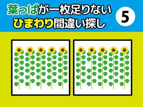 Find the difference in a sunflower that is missing one leaf (5) メイン画像