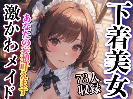激かわメイド 下着美女 73人収録 メイン画像