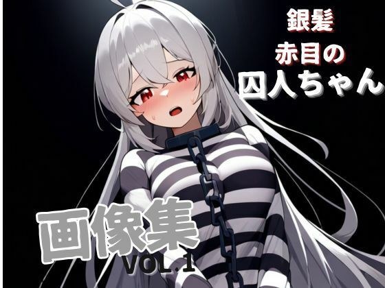 Silver-haired red-eyed prisoner image collection VOL.1