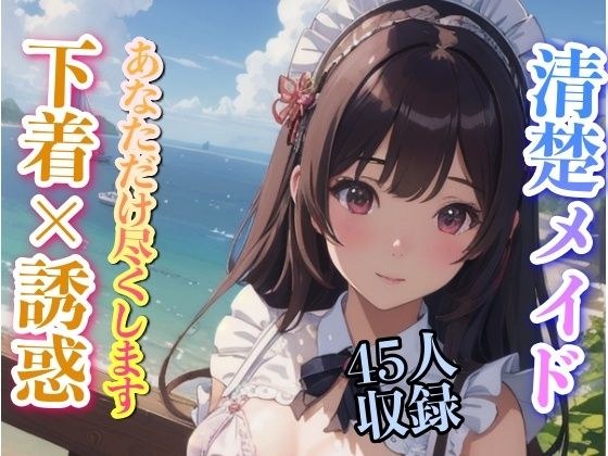 清楚メイド 下着で誘惑 あなただけに尽くします 45人収録 メイン画像