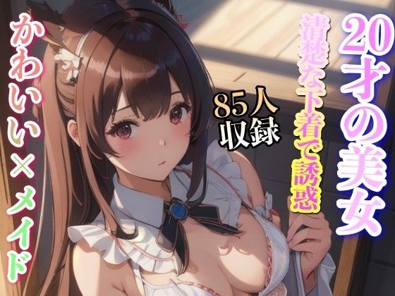 かわいいメイド 清楚な下着で誘惑 85人収録 メイン画像