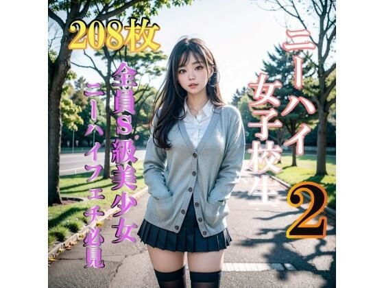 ニーハイ美少女図鑑VOL2 メイン画像