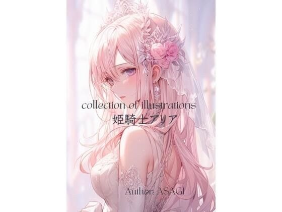 collection of illustration princess knight aria メイン画像