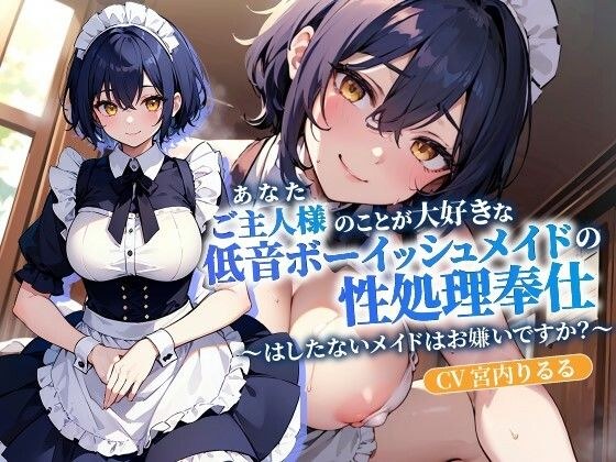 A low-pitched boyish maid who loves her master (you) provides sex service ~ Do you dislike naughty maids? ~ [Hugging pillow recommended/Fantasy/Love Love]