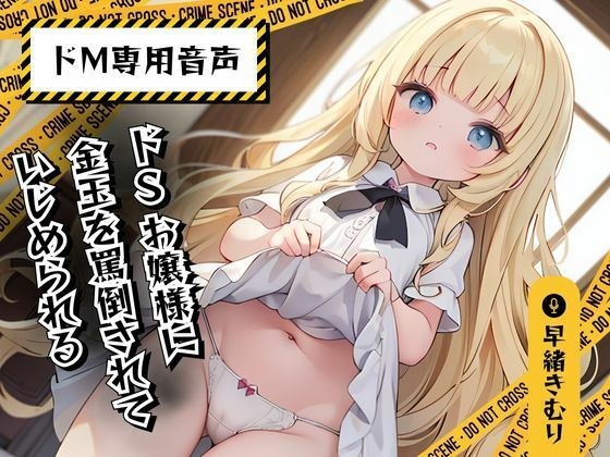 【ドM専用音声】ドSお嬢様に金玉を罵倒されていじめられる メイン画像