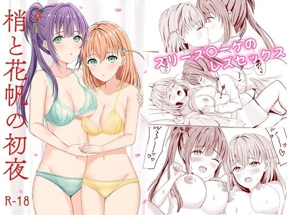梢と花帆の初夜 メイン画像