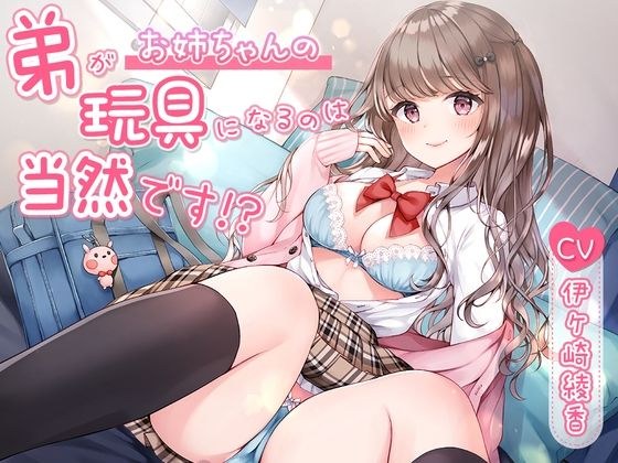 弟がお姉ちゃんの玩具になるのは当然です！？ メイン画像