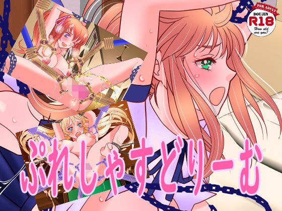 ぷれしゃすどりーむ メイン画像