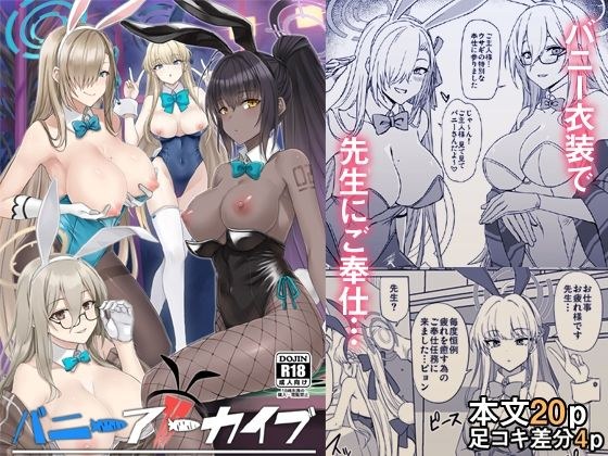バニーアーカイブ メイン画像