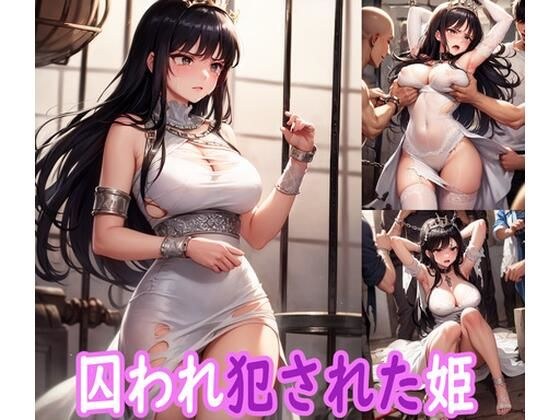 囚われ犯●れた姫 メイン画像