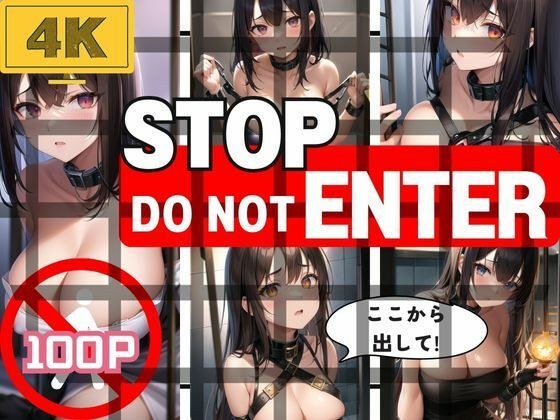 Stop！Do Not Enter！ここから出して！ メイン画像