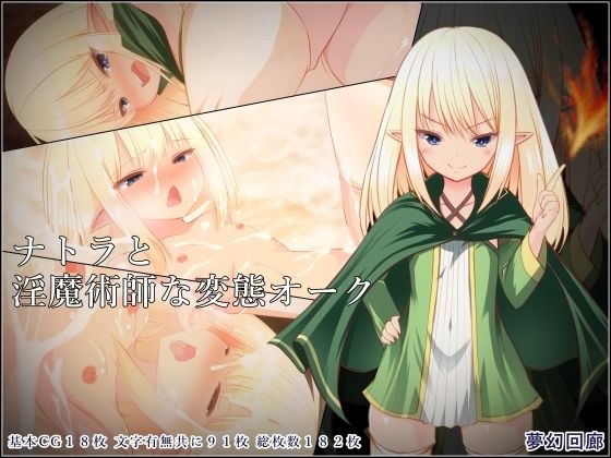 ナトラと淫魔術師な変態オーク メイン画像