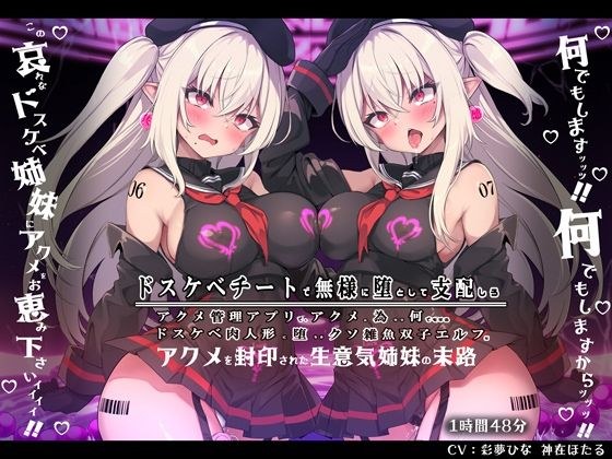 【無様/マヌケ/おほ声】ドスケベチートで無様に堕として支配しろ！！アクメ管理アプリでアクメの為なら何でもするドスケベ肉人形に堕ちる双子エルフ姉妹編 メイン画像