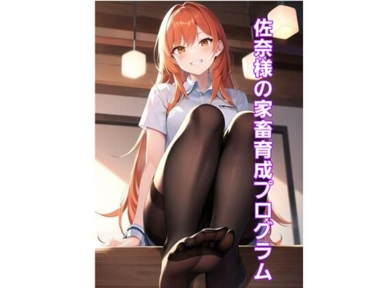 萨那的畜牧养殖计划