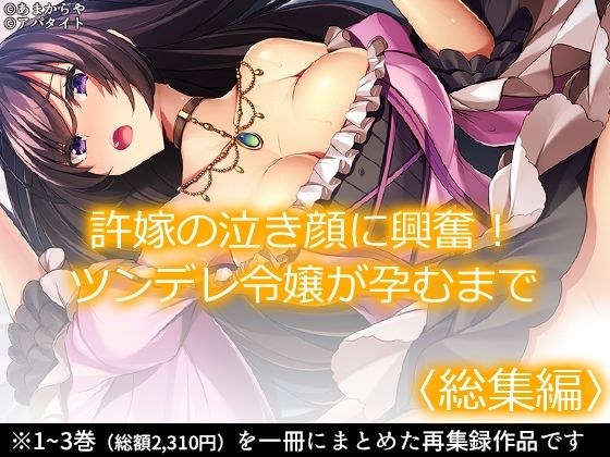 許嫁の泣き顔に興奮！ツンデレ令嬢が孕むまで ＜総集編＞ メイン画像