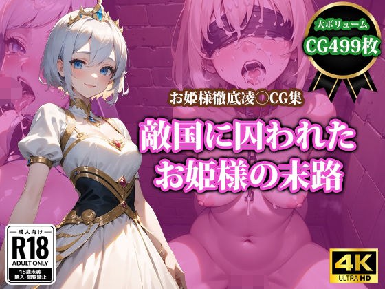 敵国に囚われたお姫様の末路 メイン画像