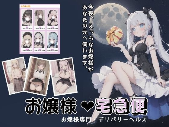 お嬢様宅急便 メイン画像