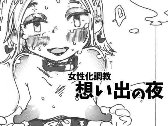 女性化調教想い出の夜 メイン画像