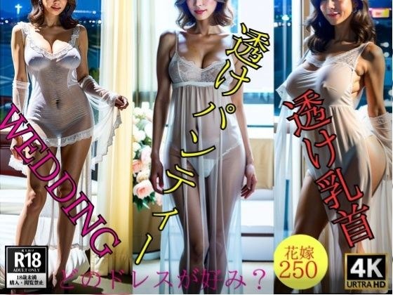 【変態ドレス】エッチなHAPPY WEDDING---透け透けドレスの花嫁250人--- メイン画像
