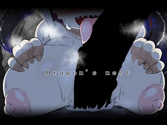 Dragon’s nest メイン画像