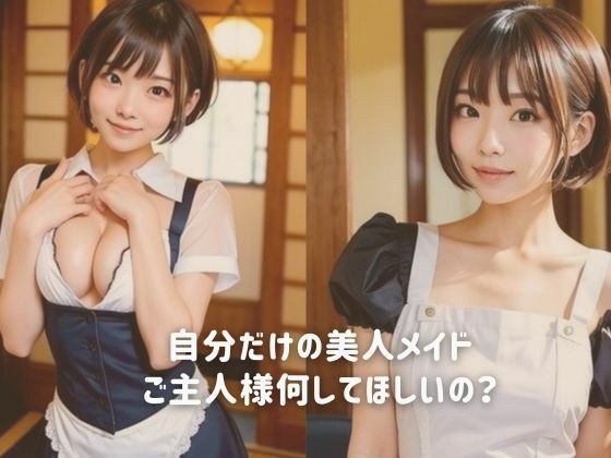 自分だけの美人メイド ご主人様何してほしいの?