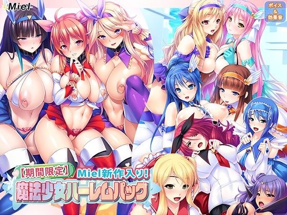 [Limited time] New Miel item! magical girl harem pack メイン画像