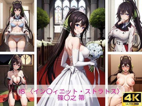 IS 〈インフィニット・ストラトス〉篠〇之 箒 画像集 メイン画像