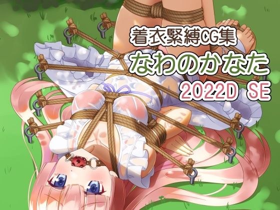着衣緊縛CG集 なわのかなた 2022D SE メイン画像