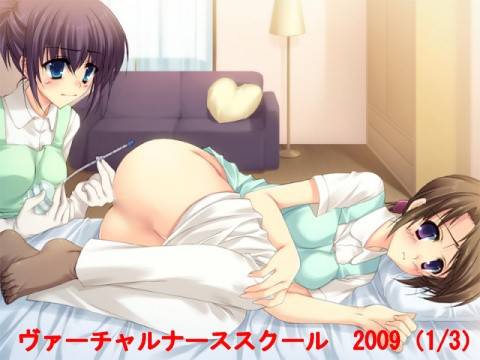 ヴァーチャルナーススクール 2009_1ヴァーチャルナーススクール 2009_1 メイン画像
