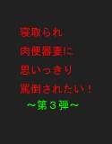 寝取られ肉便器妻に思いっきり罵倒されたい 〜第3弾〜 メイン画像
