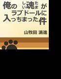 俺の魂がラブドールに入っちまった件 メイン画像