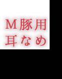 【M豚専用】女王様の淫乱耳なめ メイン画像
