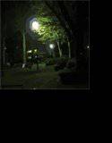 俺の一番の癒しスポットは夜の公園 メイン画像