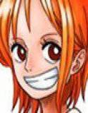 NAMI VS ARLONG メイン画像