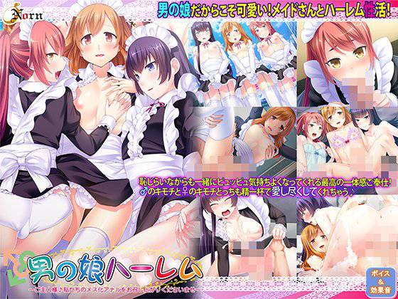 男の娘ハーレム〜ご主人様♪私たちのメス化アナルをお召し上がりくださいませ〜 メイン画像