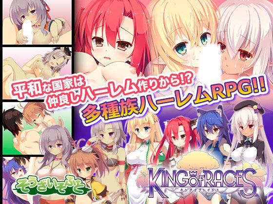 キングオブレイシス メイン画像