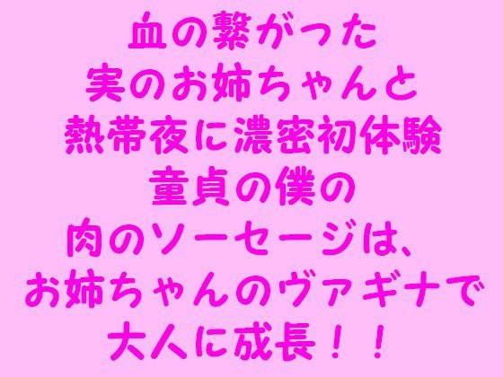 血の繋がった実のお姉ちゃんと熱帯夜に濃密初体験 童貞の僕の肉のソーセージは、お姉ちゃんのヴァギナで大人に成長！！ メイン画像