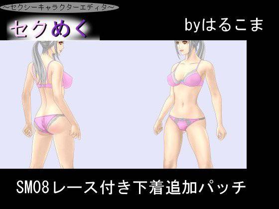 SM08レース付き下着追加パッチ メイン画像