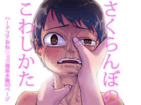 さくらんぼのこわしかた メイン画像