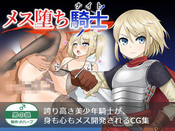 メス落ち騎士（ナイト） メイン画像