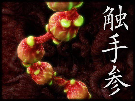 触手参 メイン画像