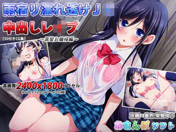 【SS付きCG集】雨宿り濡れ透けJK中出しレイプ〜黒髪お嬢様編〜 メイン画像