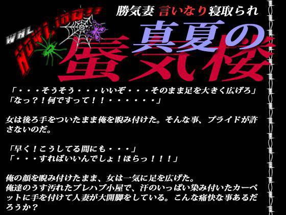 勝気妻言いなり寝取られ 真夏の蜃気楼 メイン画像